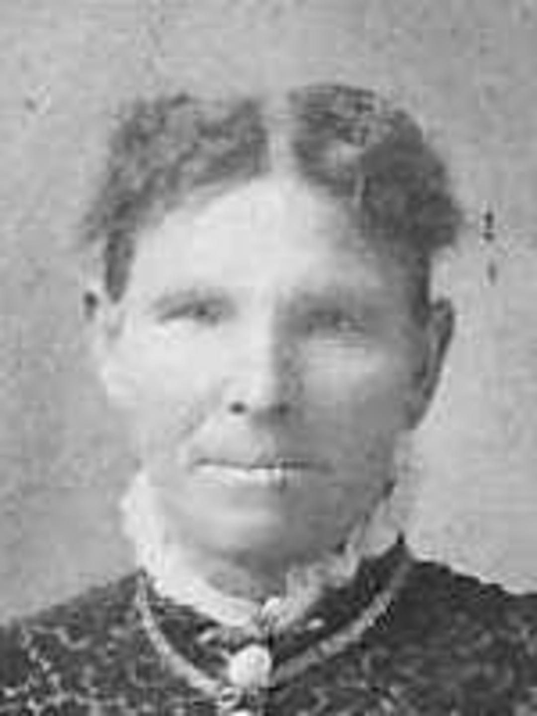 Mary Armstrong (1840 - 1912) Profile